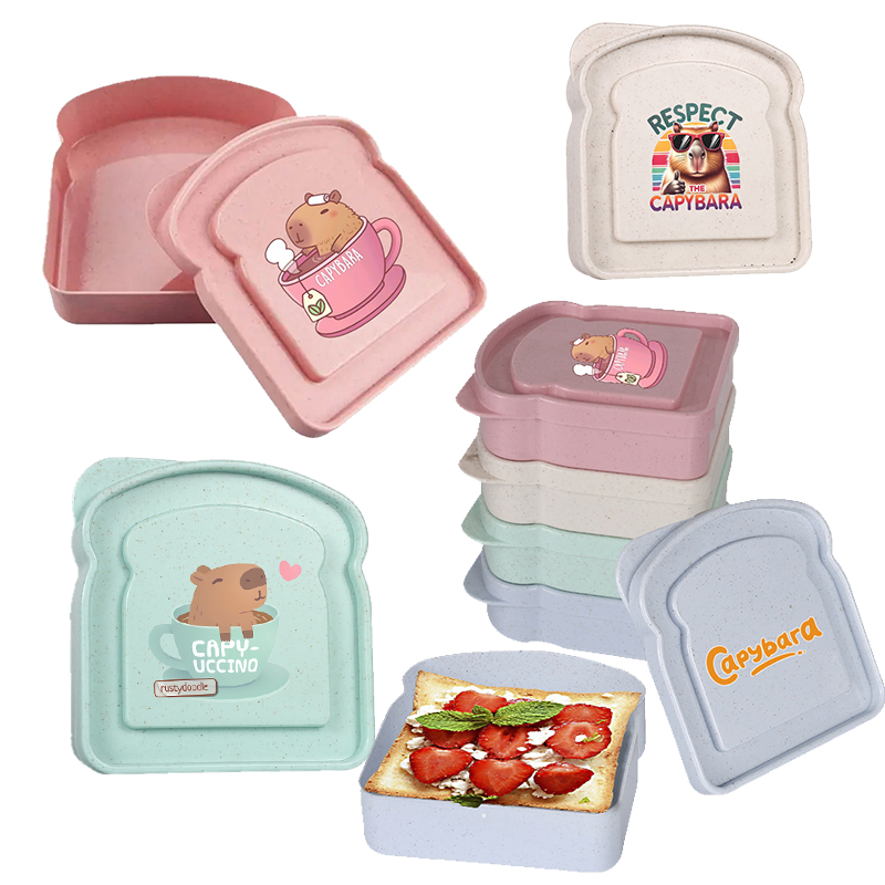 Food Storage Plastic Boxes - 카피바라 샌드위치 음식 보관 케이스 컨테이너