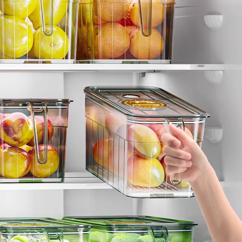 Food Storage Vegetables - 냉장고 정리 보관함, 계란, 과일 및