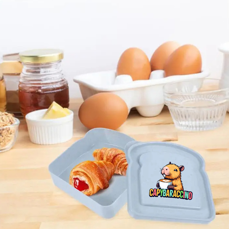 카피바라 샌드위치 음식 보관 케이스 컨테이너 샐러드 과 - Food Storage Plastic Boxes 리뷰 및 가격