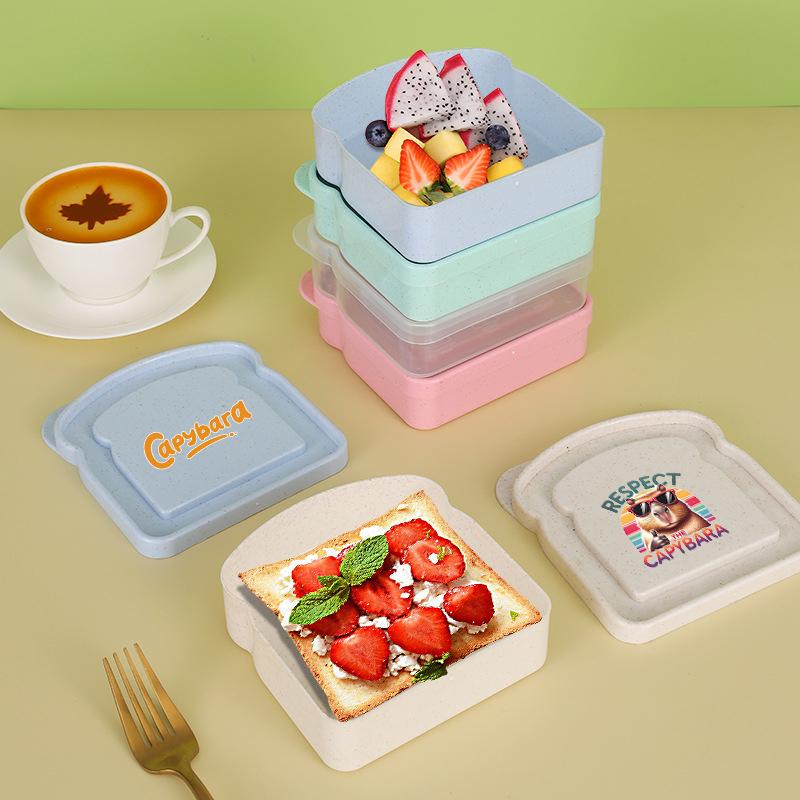 카피바라 샌드위치 음식 보관 케이스 컨테이너 샐러드 과 - Food Storage Plastic Boxes 리뷰 및 가격