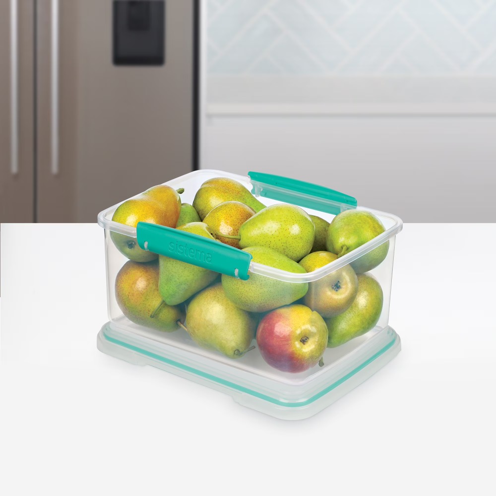 3팩 대형 플라스틱 식품 보관 용기, 잠금 뚜껑 포함, - Food Storage Large Plastic Containers 리뷰 및 가격
