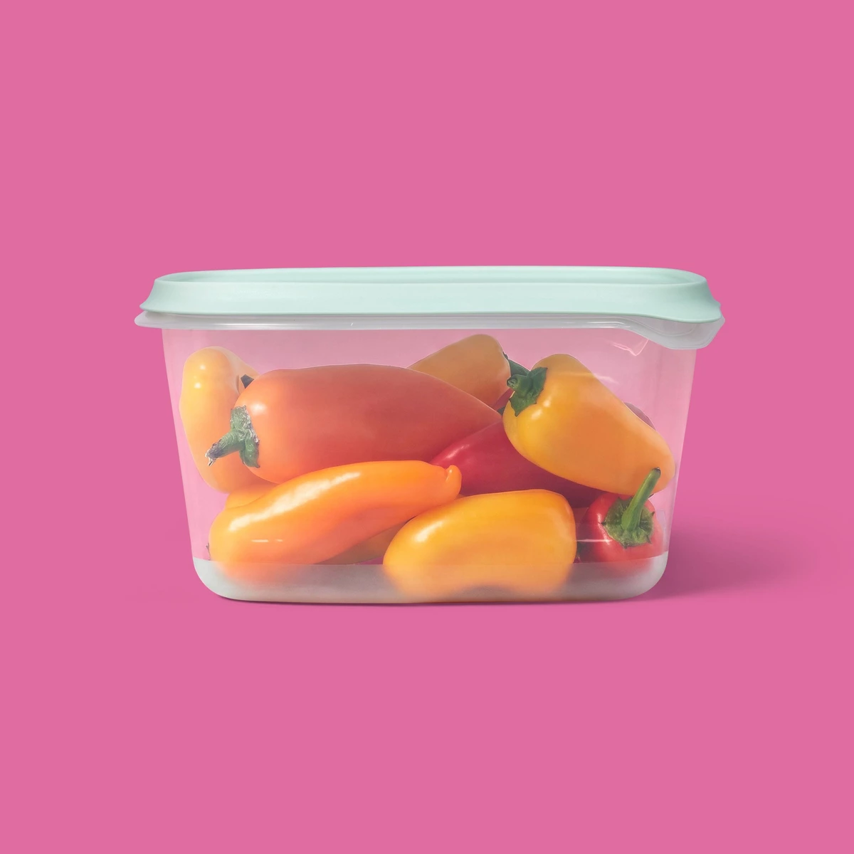 2026년 신제품 2팩 48온스 대형 직사각형 식품 보 - Food Storage Large Plastic Containers 리뷰 및 가격